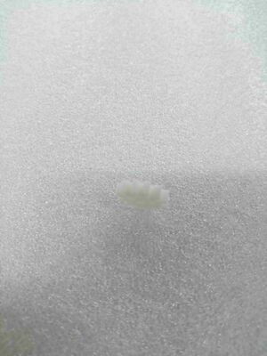 MEI 현금함 예비 부품 252029017P200 BNF 스퍼 기어 12T-24DP ATM 현금함 교체 액세서리